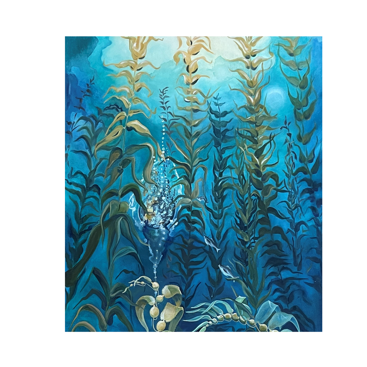 Kelp Forest